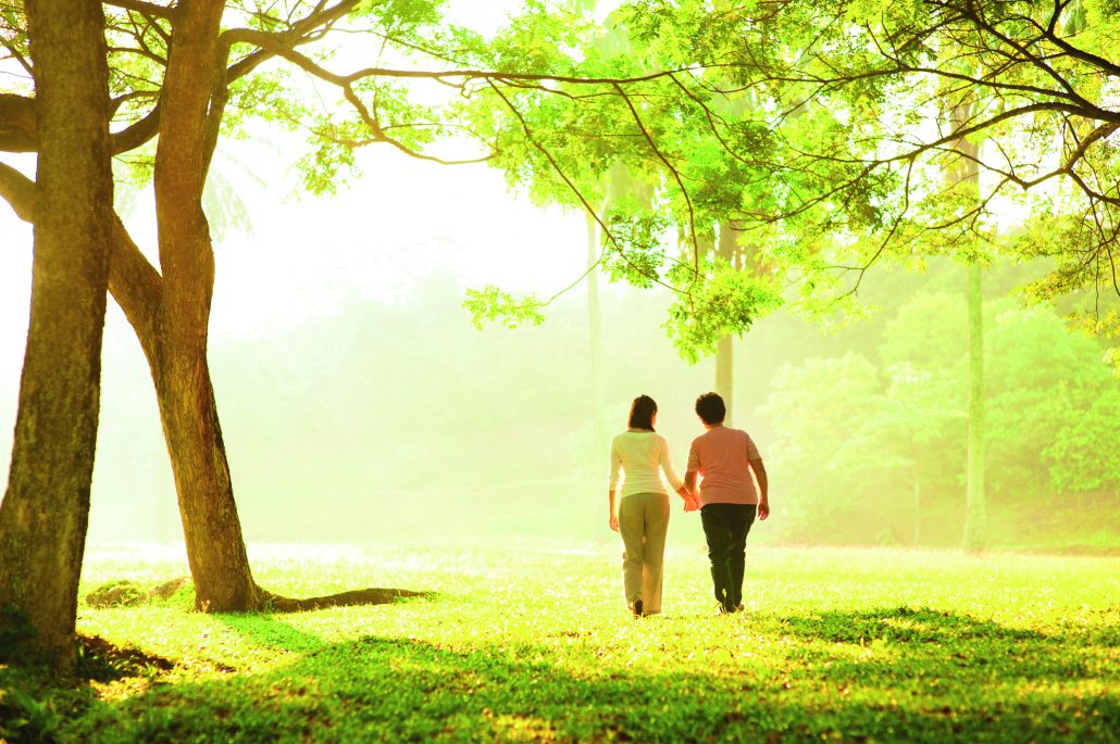 dreamstimemedium_27898475